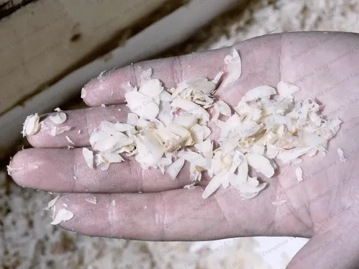 processed peanut slice