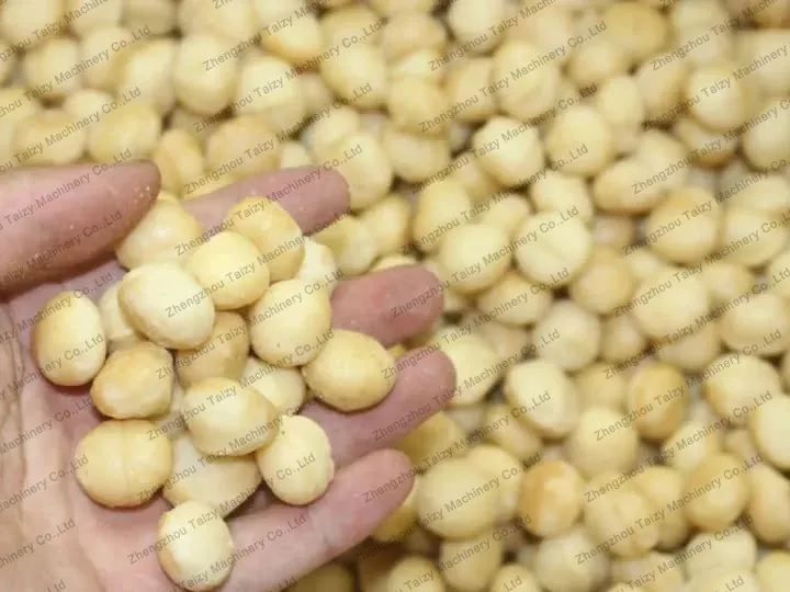 Macadamia nuts kernels