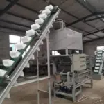 Small-batch walnut shelling and separating line