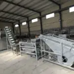 almond shelling line in the factory
