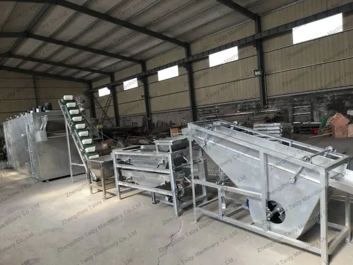 almond shelling line in the factory
