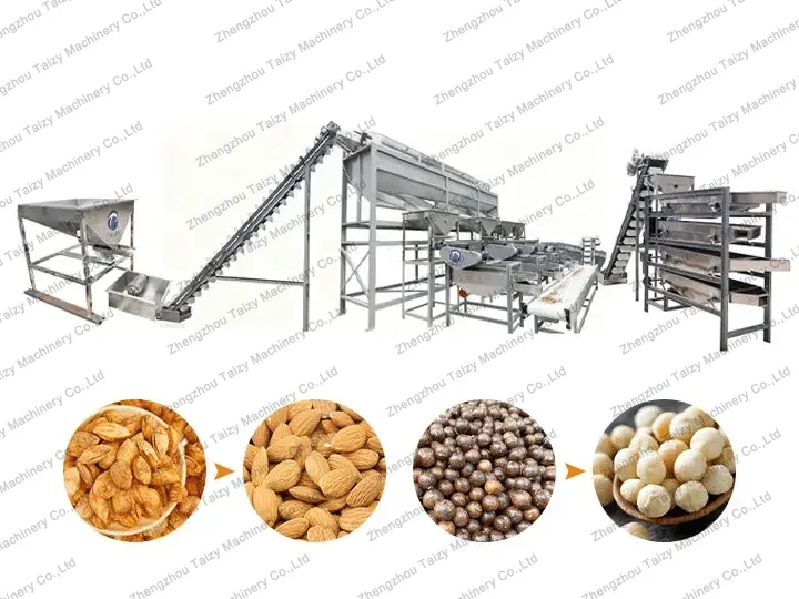 2–3 t/h Automatic Hazelnut & Almond Shelling Line