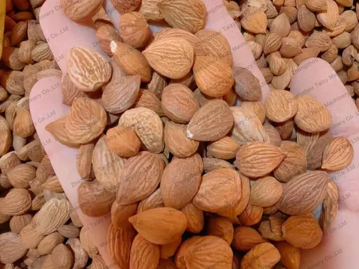 almonds before sieving