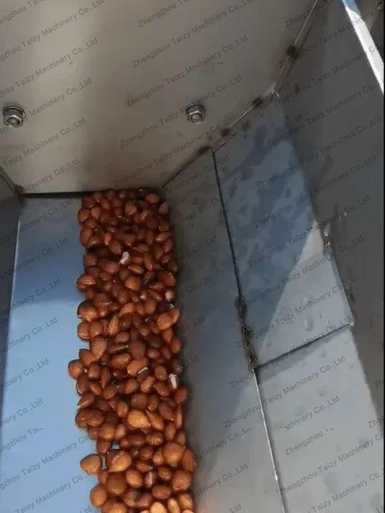 inlet of almond peeling machine