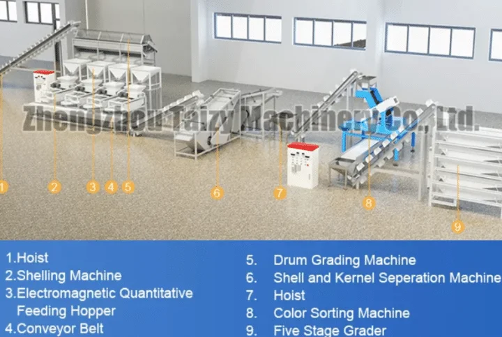 large-scale walnut shelling line