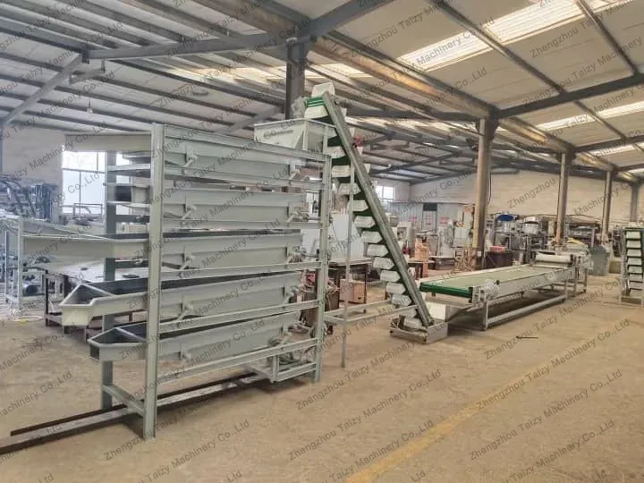 macadamia nut shelling line ordered by Kenyan customers