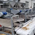 nut cracking and shelling line for russian clients