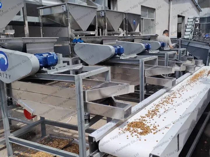 nut cracking and shelling line for russian clients