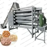 nut sorting machine