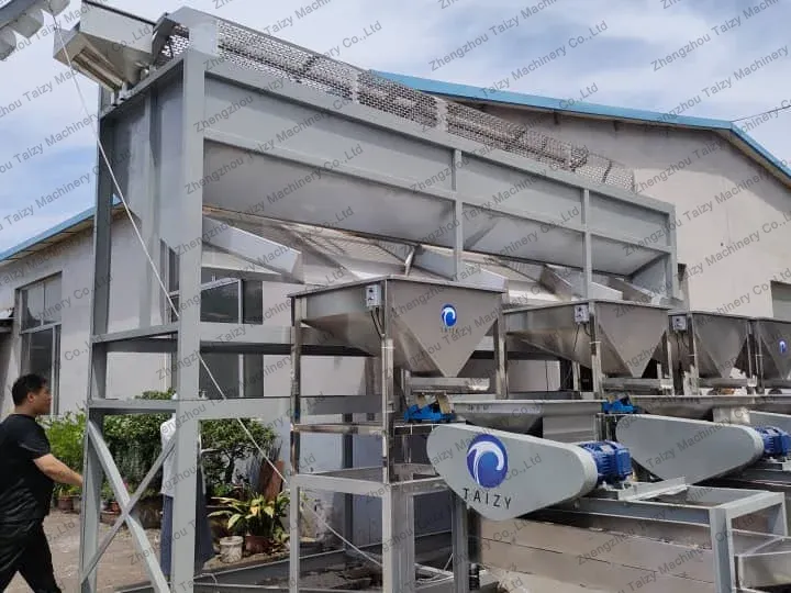 testing of almond sheller and separator processing line
