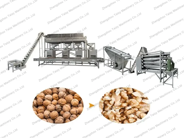 Walnut Shelling Line | Walnut Cracking Machine