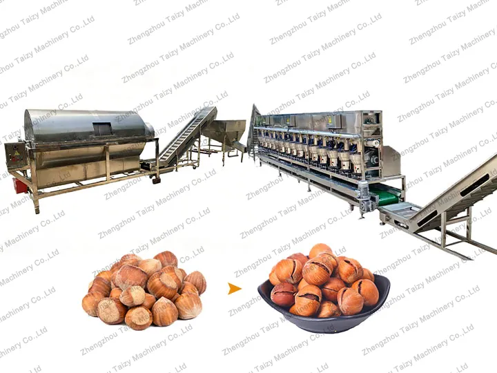 Hazelnut Opening Line for Efficient Hazelnut Processing