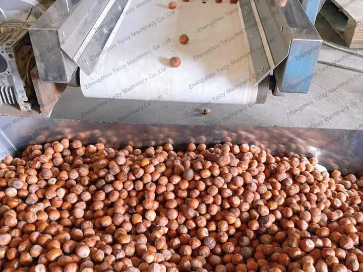 indonesian customer’s nut samples