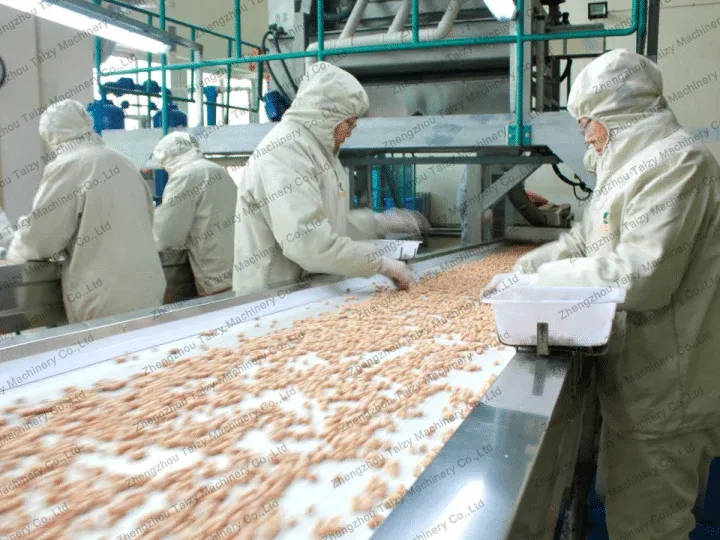 industrial peanut factory