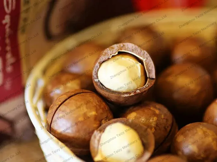 macadamia nut shelling