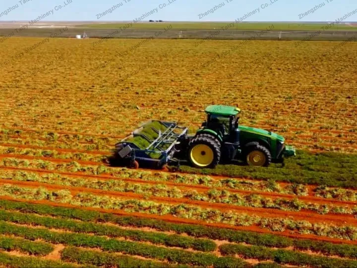 ピーナッツ農場