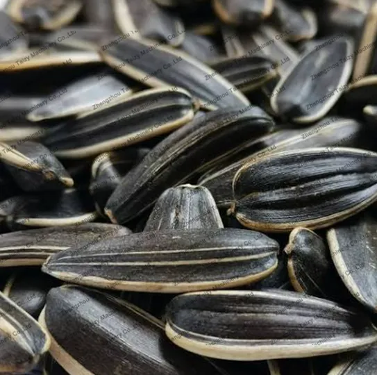 melon seeds for the roaster