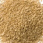 sesames for the drum sesame roasting machine