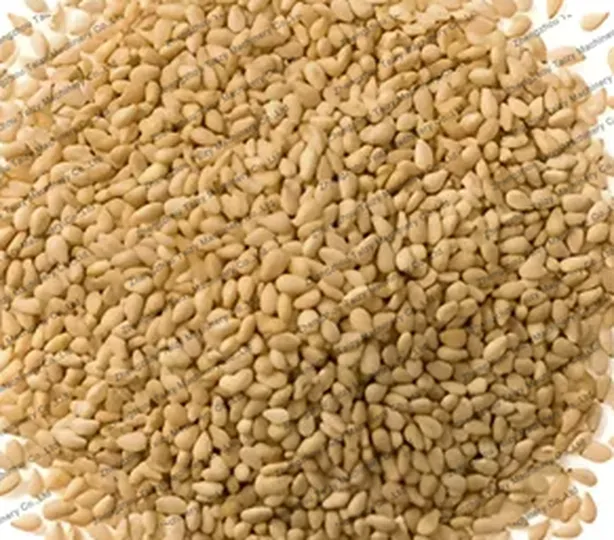 sesames for the drum sesame roasting machine